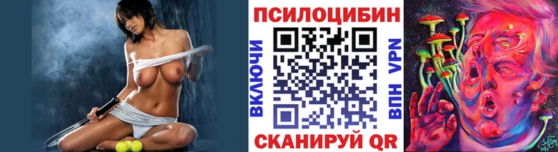 Галлюциногенные грибы Psilocybe  Купить  Щёлкино 